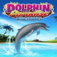 Dolphin paradise. Wild friends
