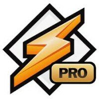 Winamp Pro v1.4.12 Apk Andro